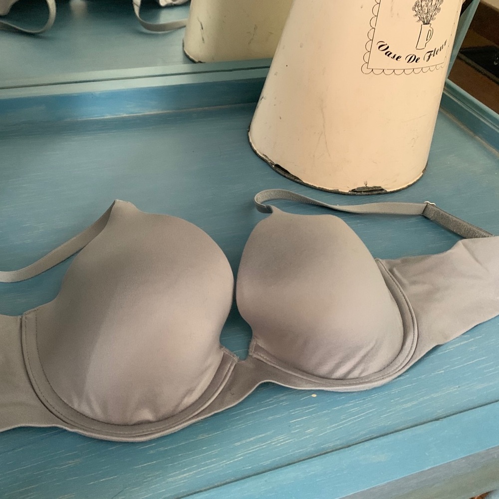 30D Aerie Sunnie Bra
